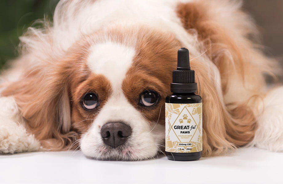 GREATful Paws 30ml (200mg) - US